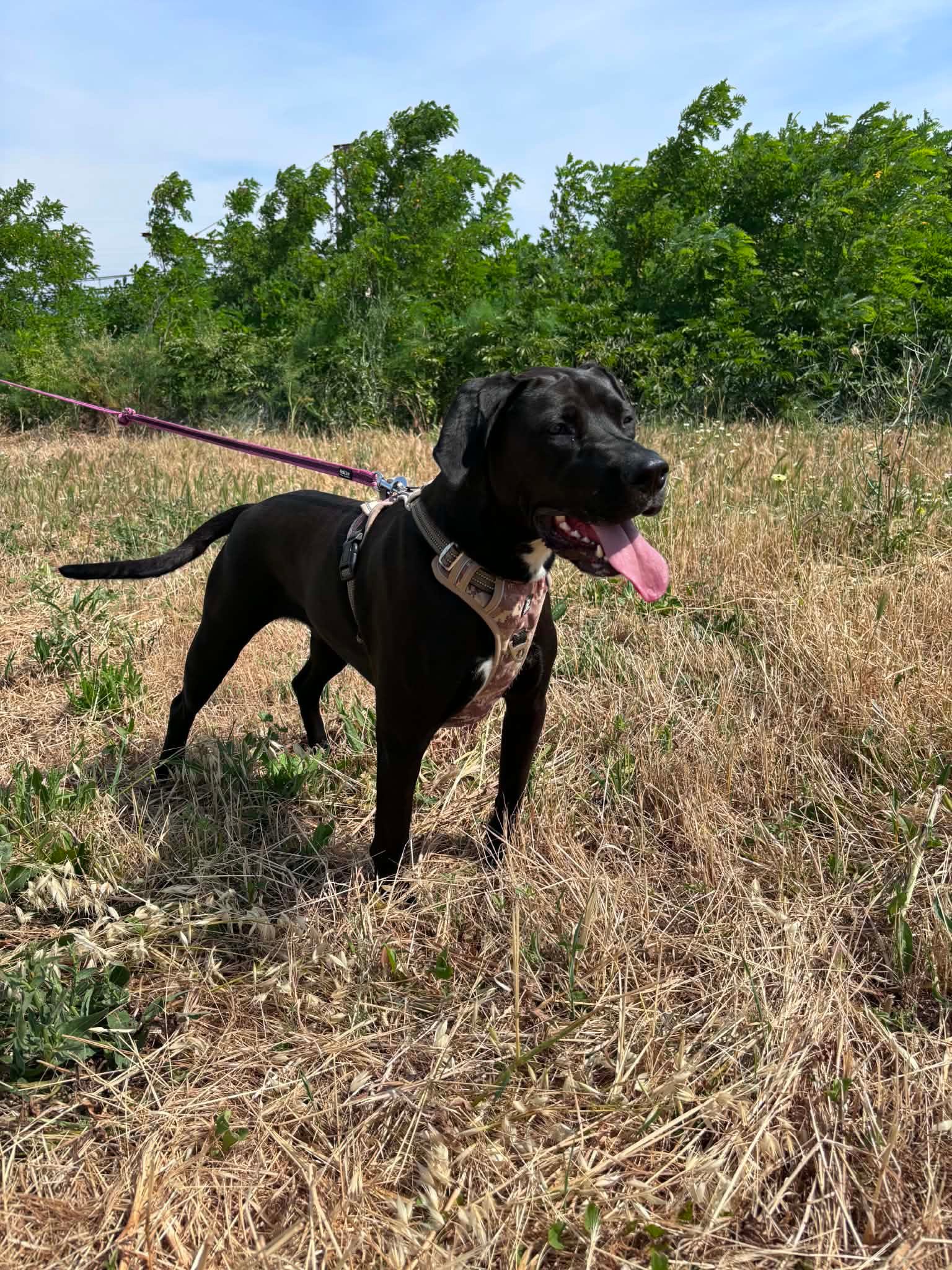 Mia 1
