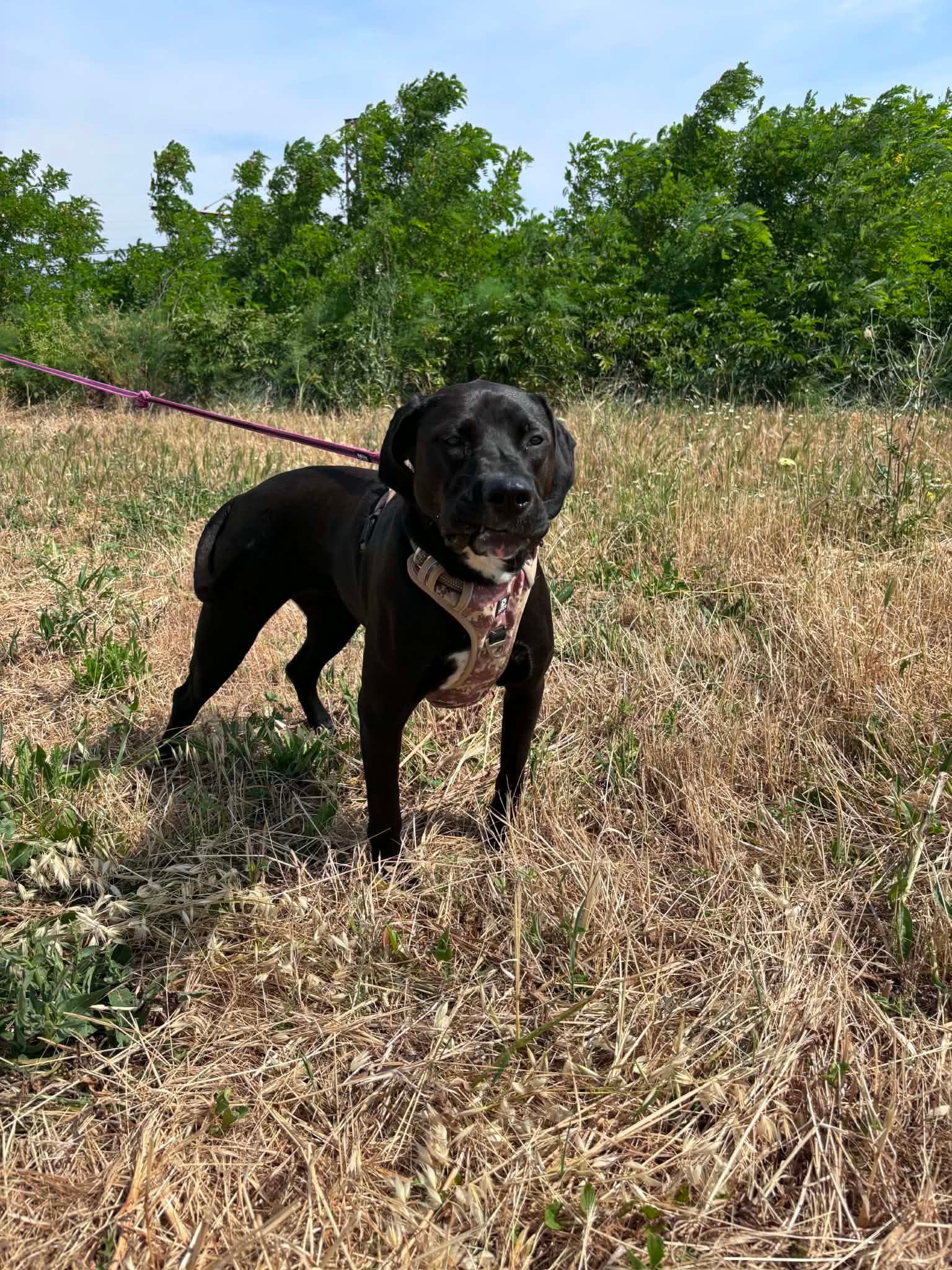 Mia 3