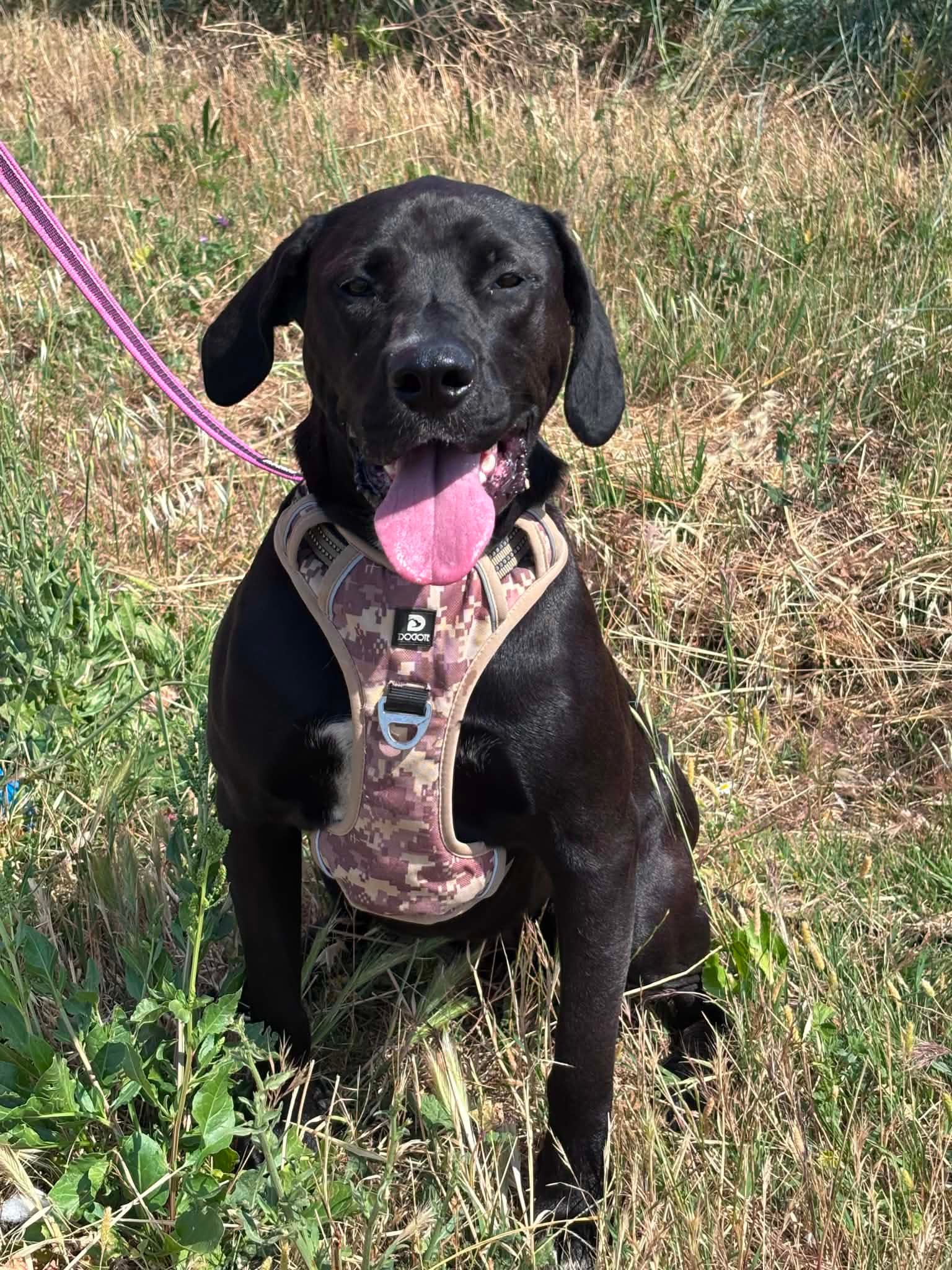 Mia