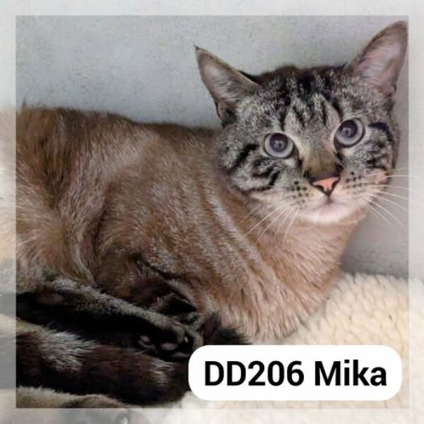Mika
