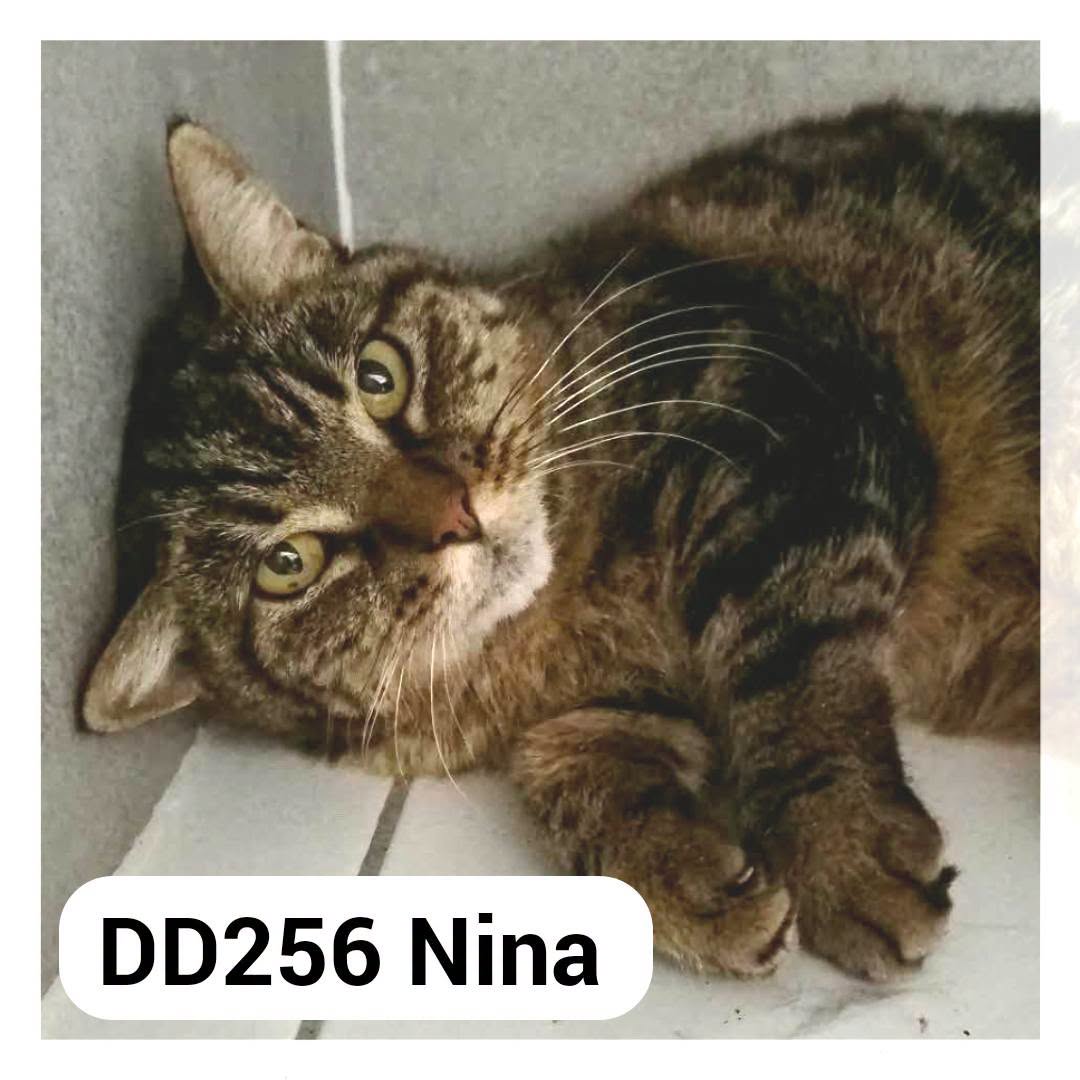 Nina