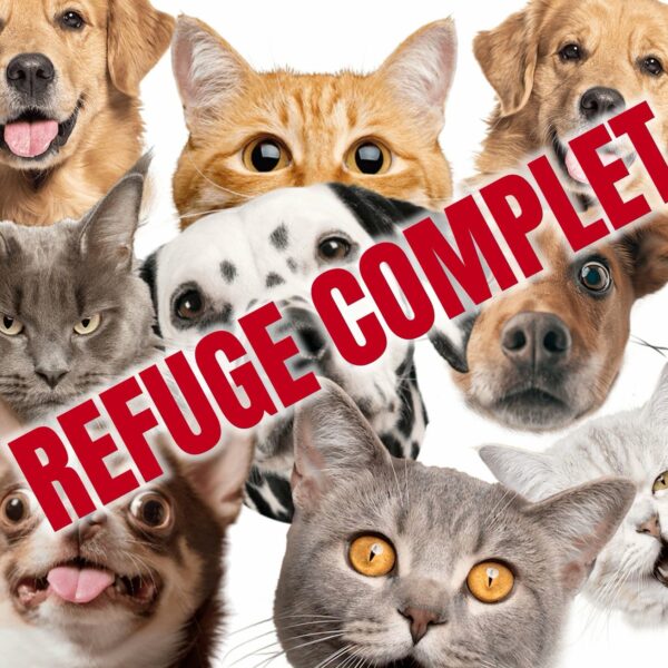 🚨🚨Refuge COMPLET🚨🚨