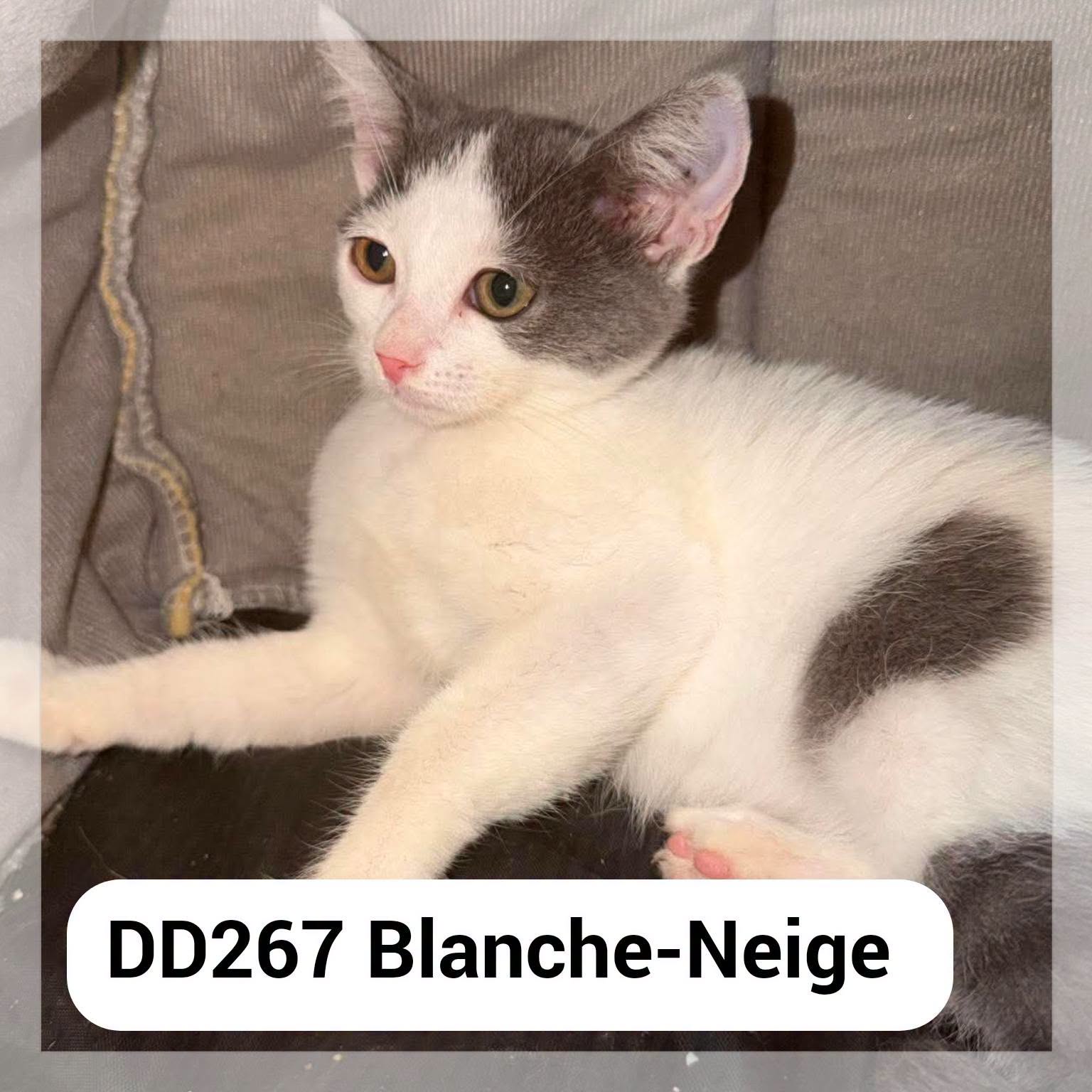 Blanche Neige