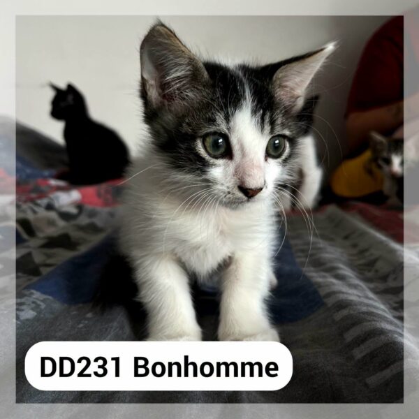 Bonhomme en F.A.