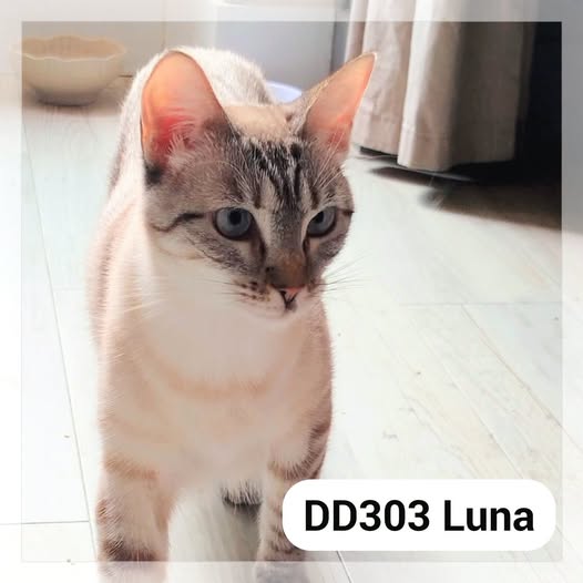 Luna