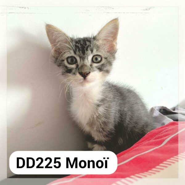 Monoï en F.A.