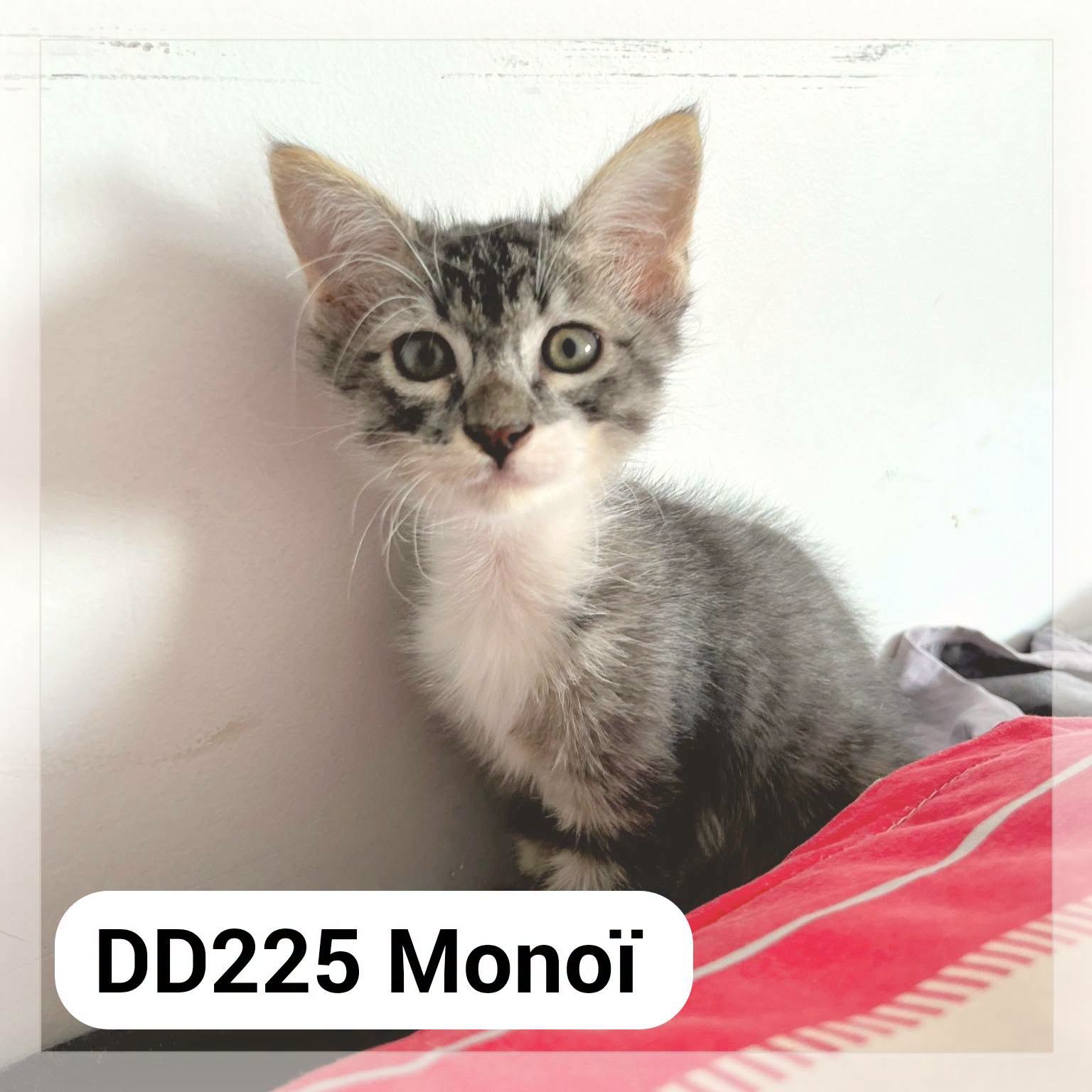 Monoi