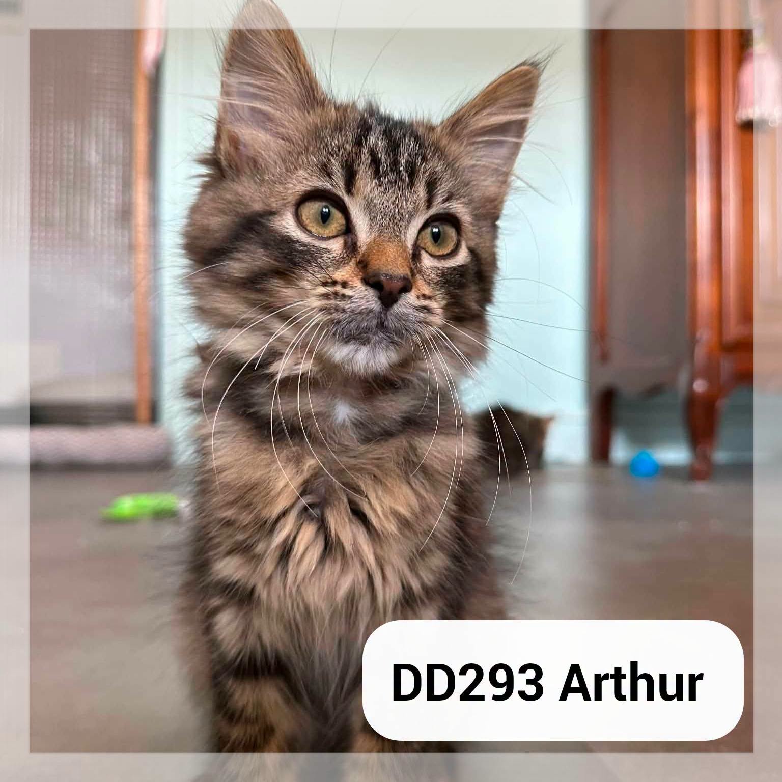 Arthur