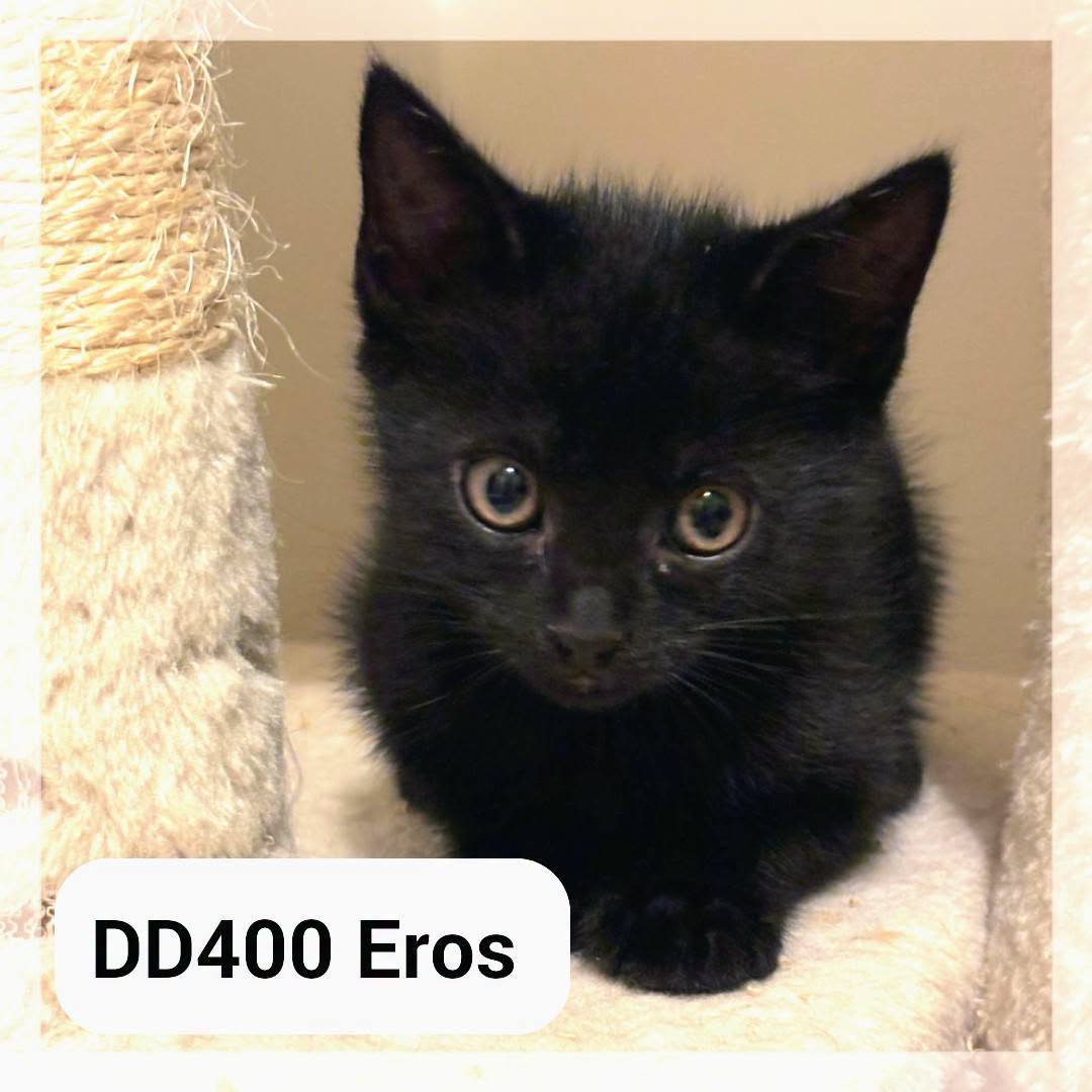 Eros en Famille d&rsquo;Accueil