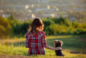Photo de l’article : TEST