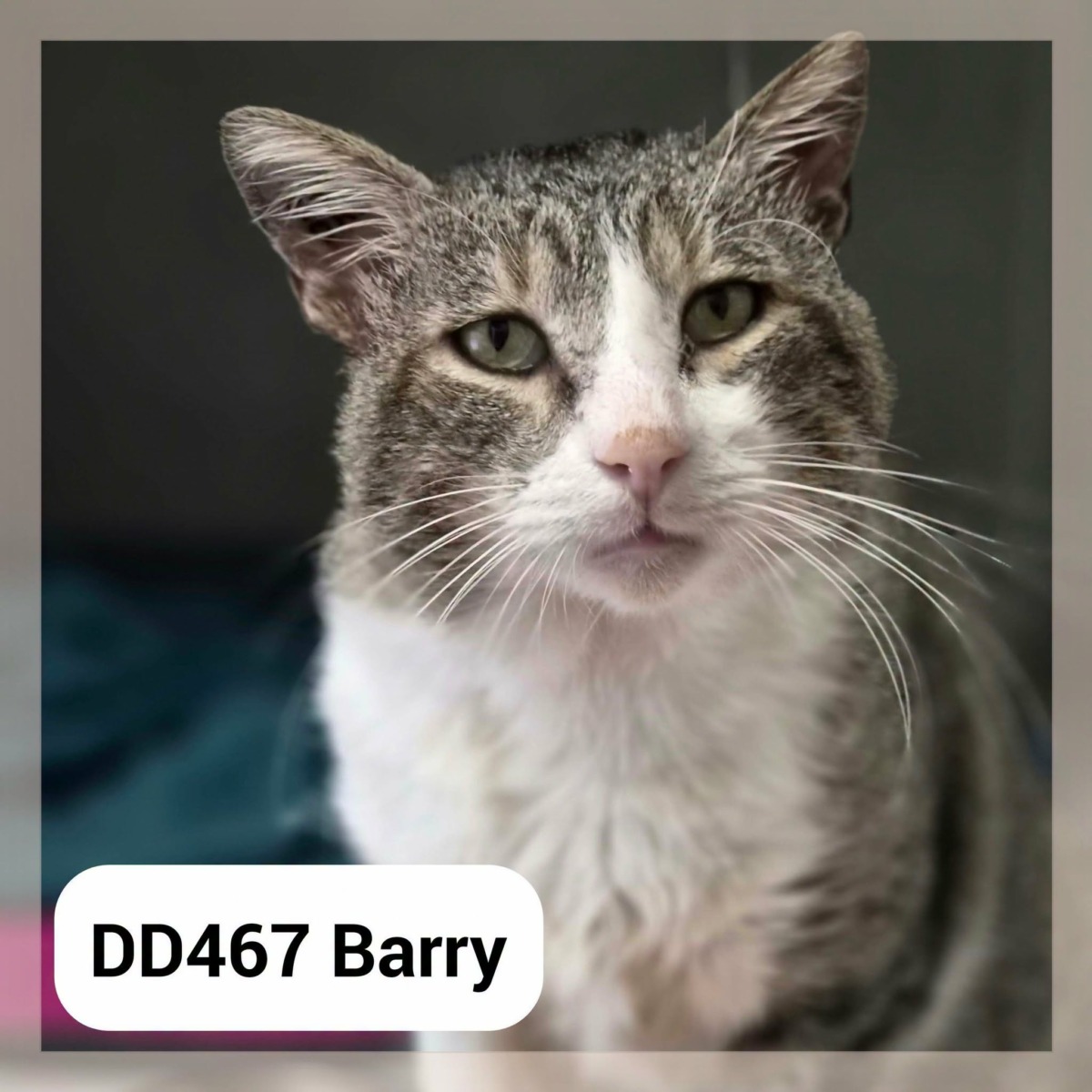 Barry