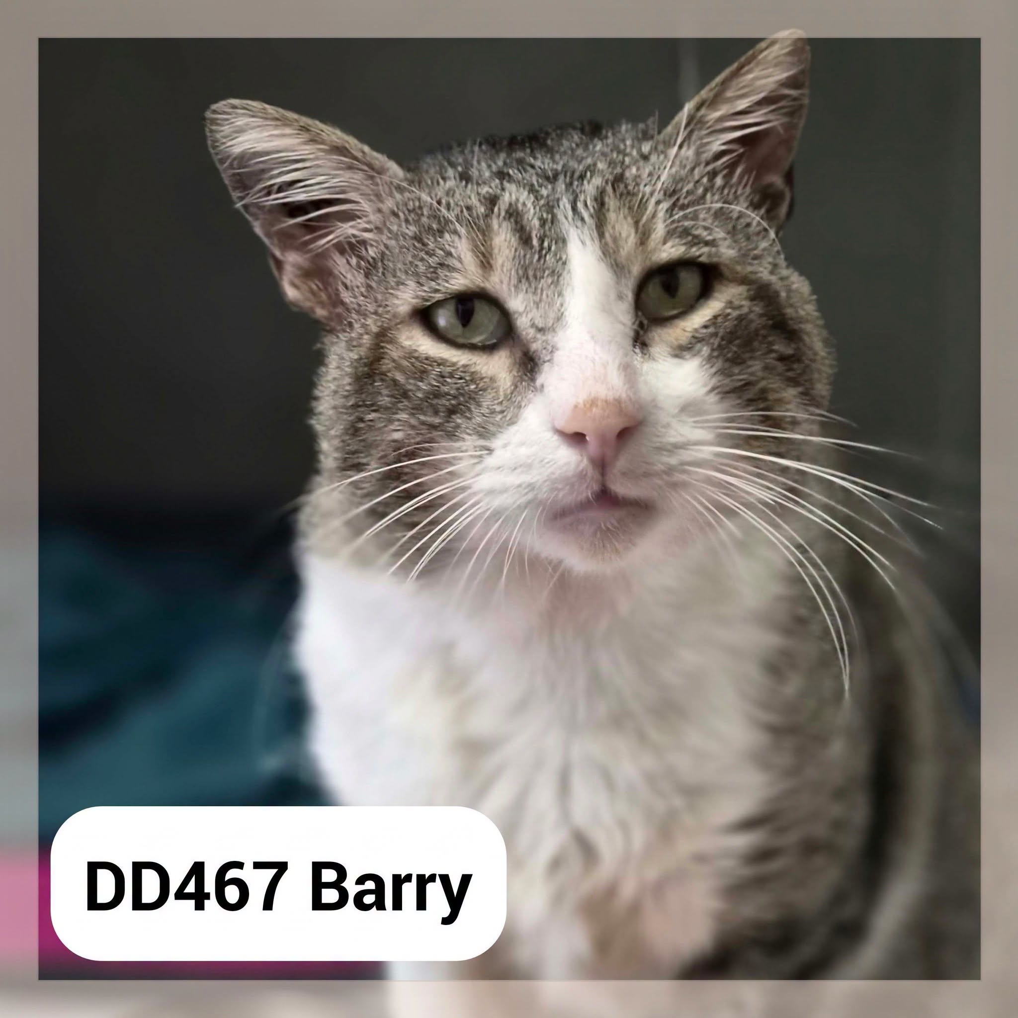Barry