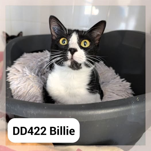 Billie