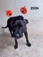 Zion